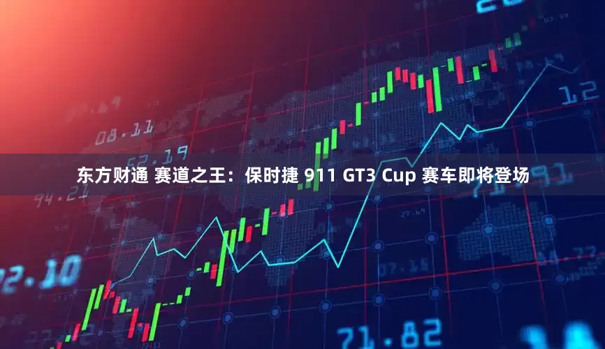 东方财通 赛道之王：保时捷 911 GT3 Cup 赛车即将登场