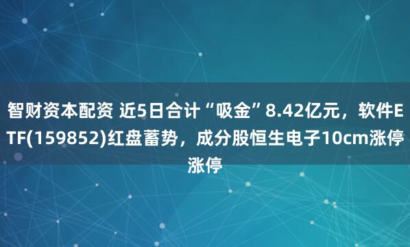 智财资本配资 近5日合计“吸金”8.42亿元，软件ETF(159852)红盘蓄势，成分股恒生电子10cm涨停